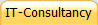 IT-Consultancy